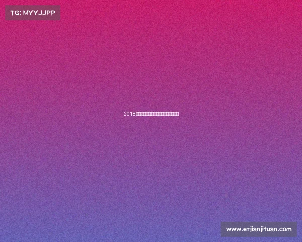 2018武术赛事精彩回顾与全面信息深度解析